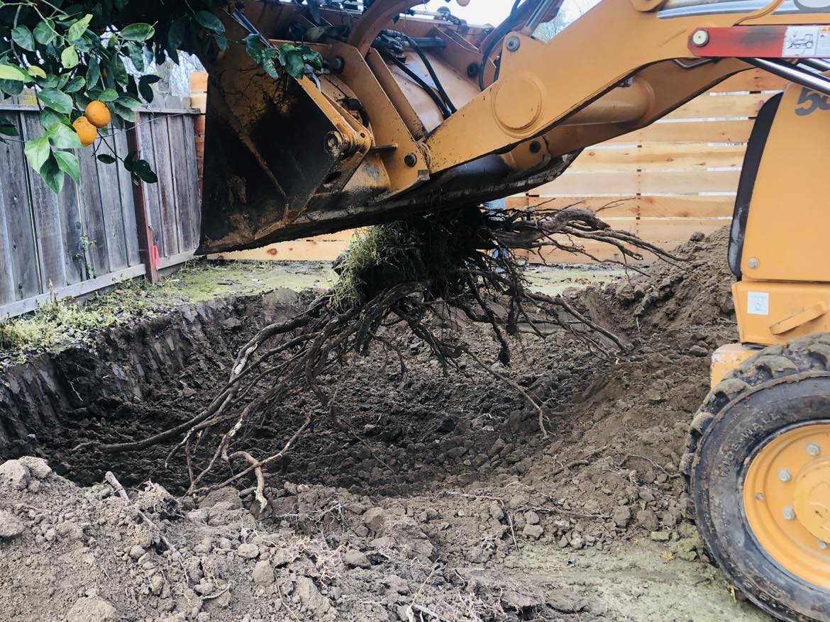 Backhoe loader rental with operator in Waterford, Ca.